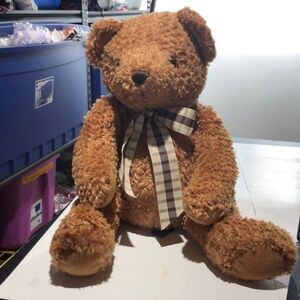 Play & Learn brown teddy bear